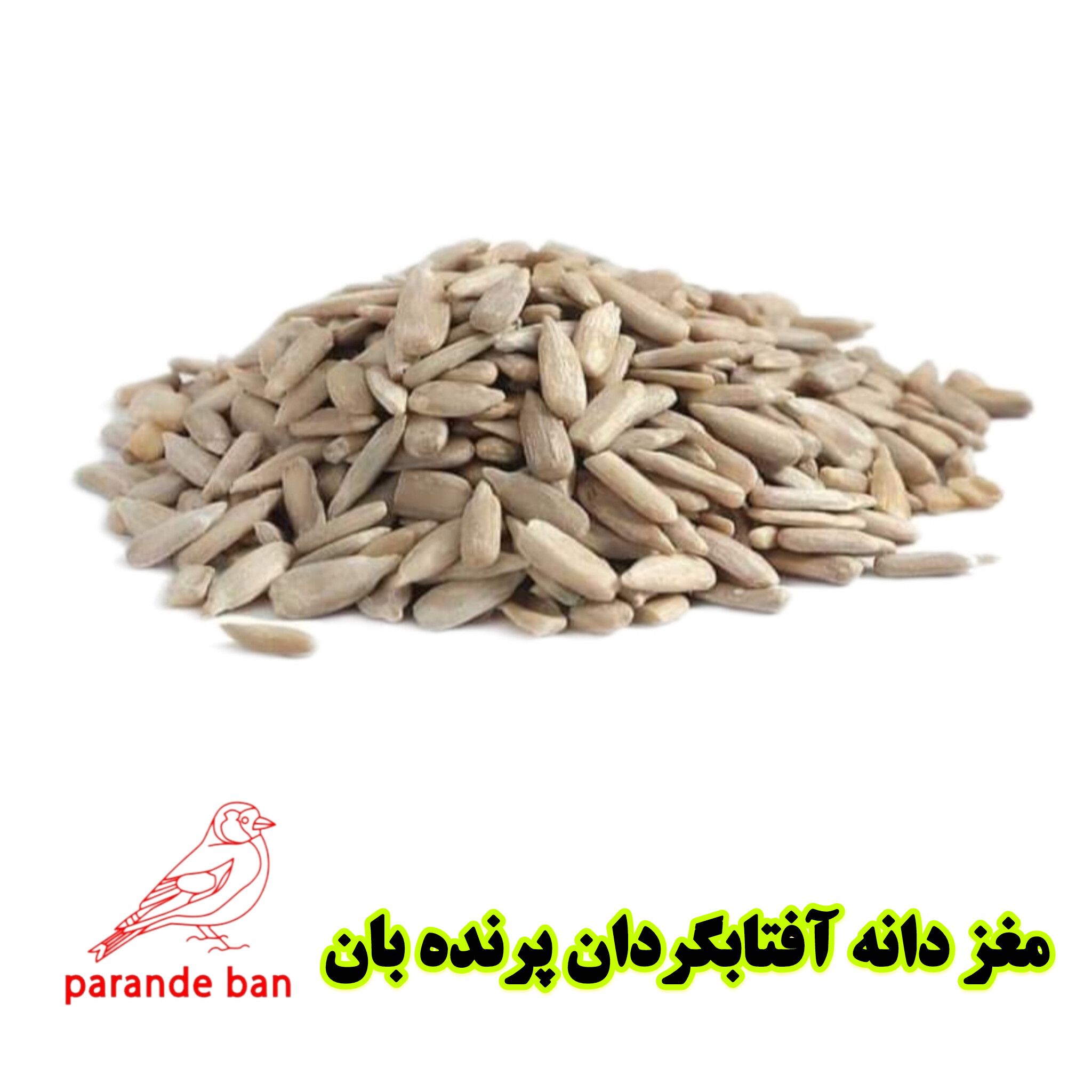 مغز تخم آفتابگردان برای پرندگان زینتی | تقویتکننده طبیعی و غنی از ویتامین E