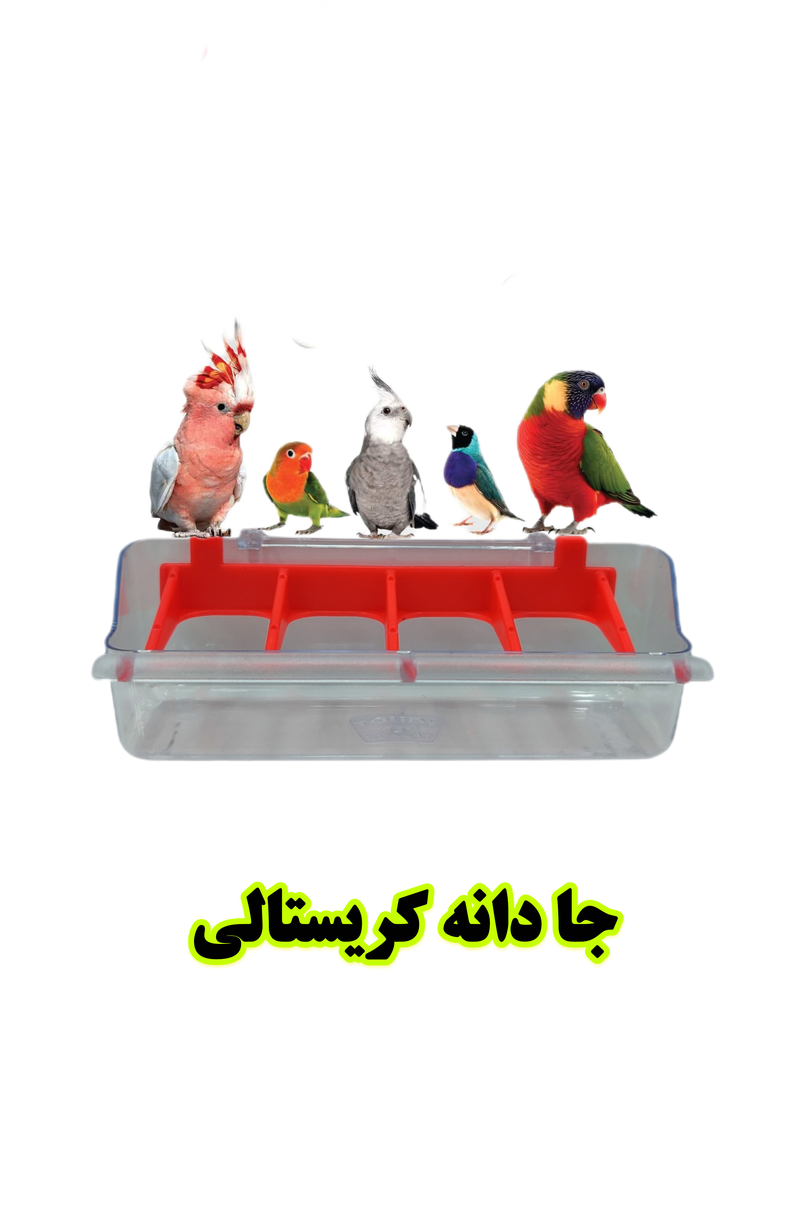 جا دانی کریستال پرندگان پرنده بان