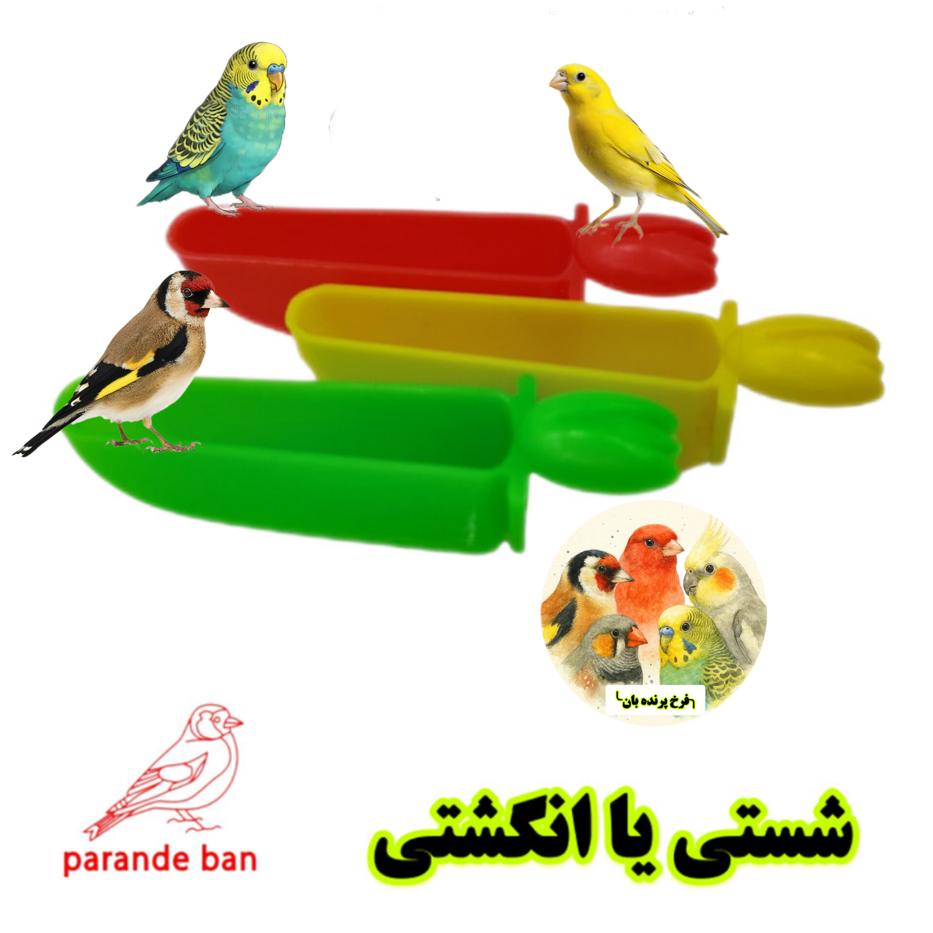 خرید دانخوری شصتی (انگشتی) پرندگان | مقاوم، بهداشتی و مناسب برای انواع پرندگان زینتی