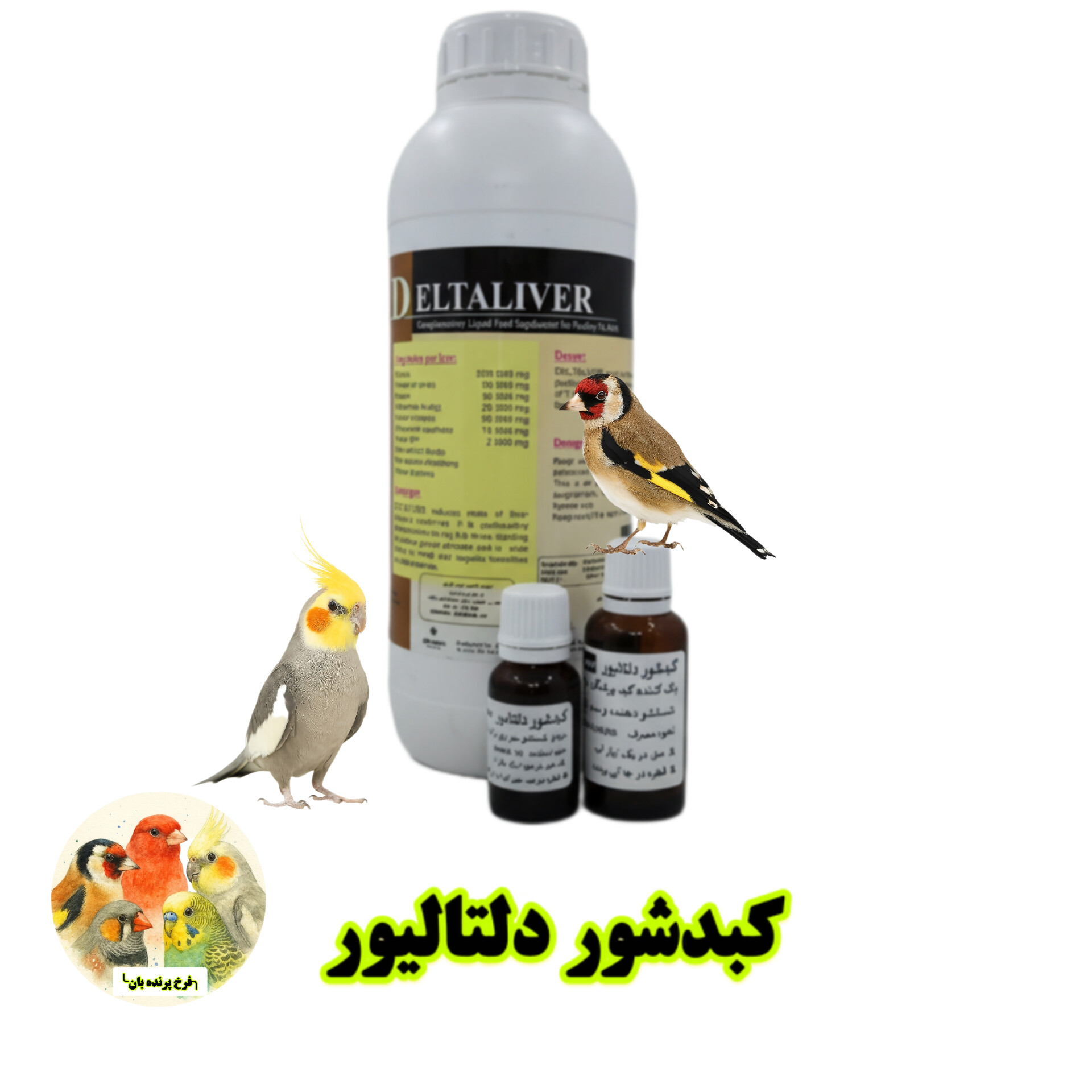 کبدشور دلتالیور | بهترین مکمل برای سلامت کبد پرندگان زینتی