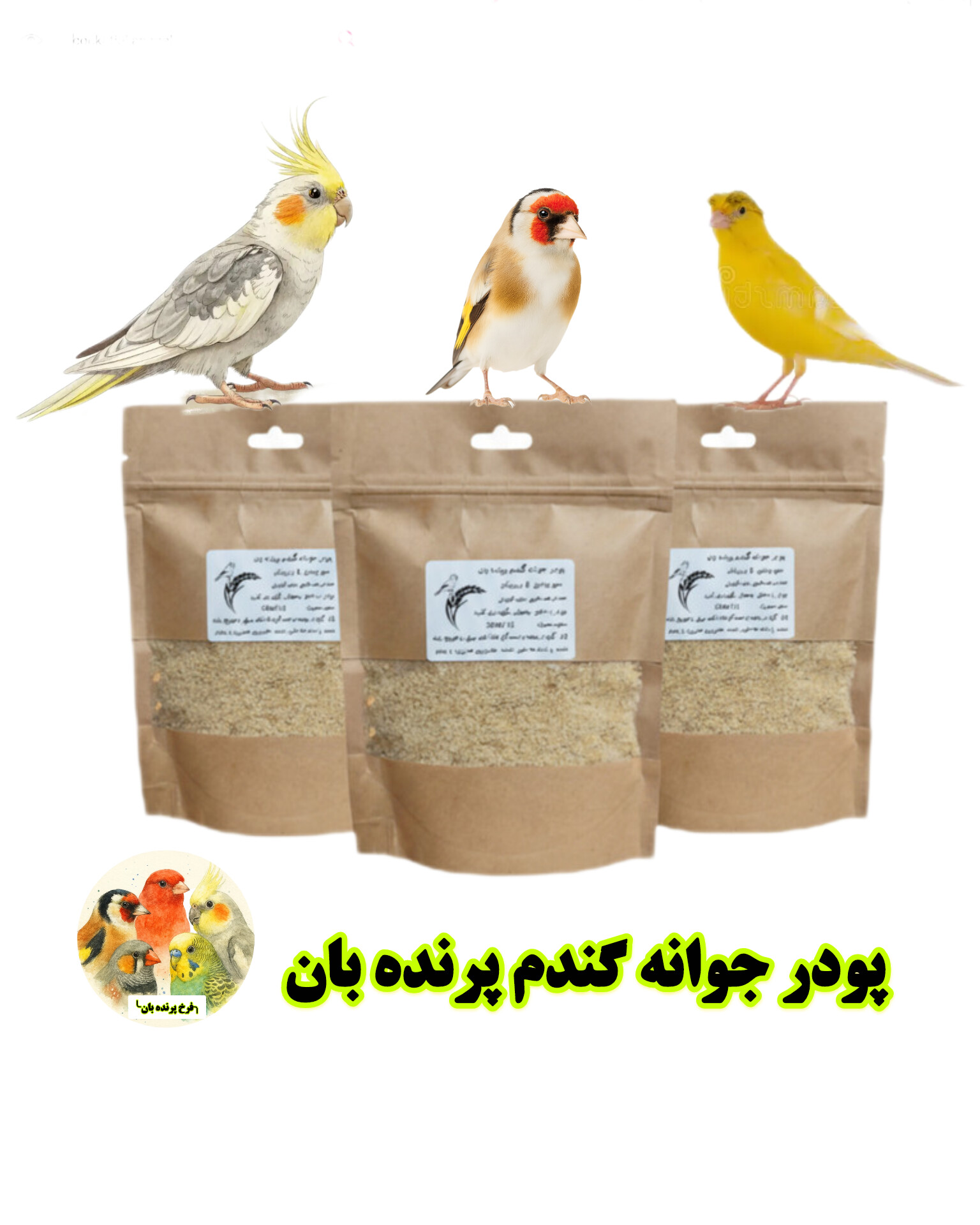 پودر جوانه گندم پرندهبان منبع طبیعی ویتامینها برای پرندگان زینتی