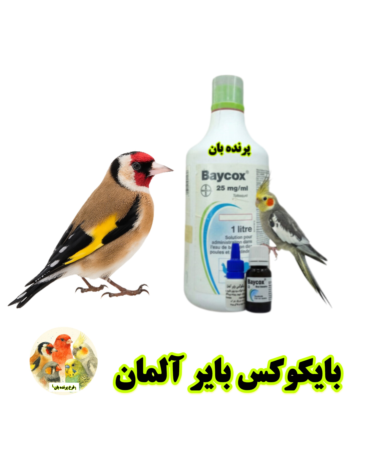 بایکوکس بایر آلمان اصلی