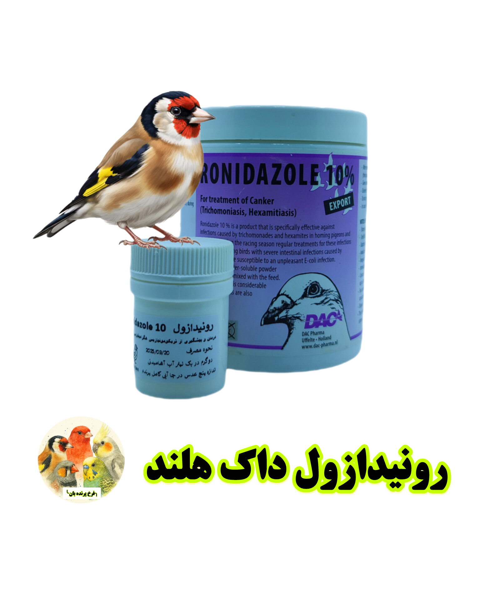 رونیدازول داک هلند پرنده بان